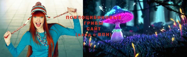 ECSTASY Вяземский