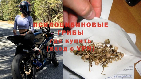 apvp Горнозаводск