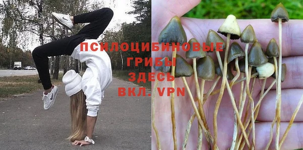 мяу мяу мука Горняк