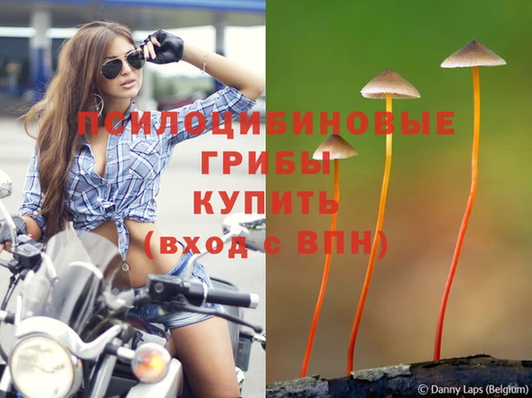мяу мяу мука Горняк