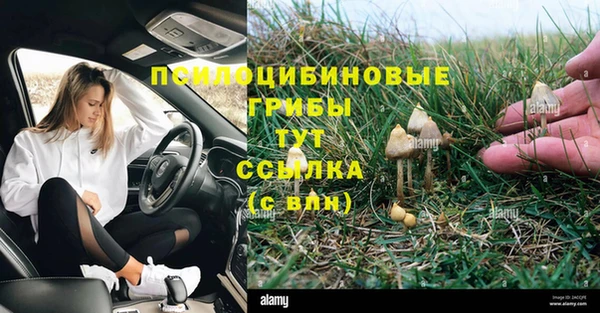 мяу мяу мука Горняк