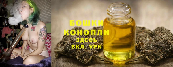 ECSTASY Вяземский